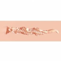 Masturbador XKIN Pinup pequeño TPE, serie coleccionista, imagen 6