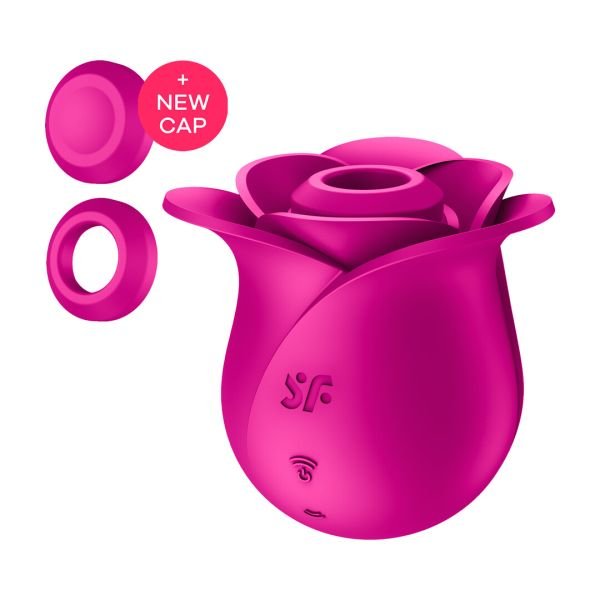 Satisfyer Pro 2 Flor Moderna Air-Pulse y Liquid Air