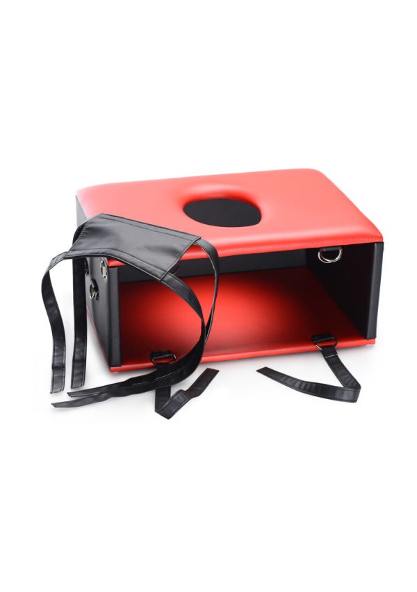 Silla queening facesitting XR Brands muebles