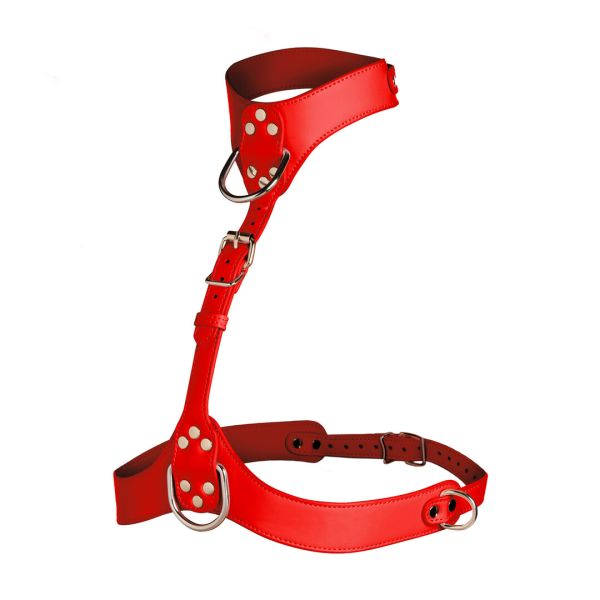 Arnés Pecho Vixen con Collar XR Brands