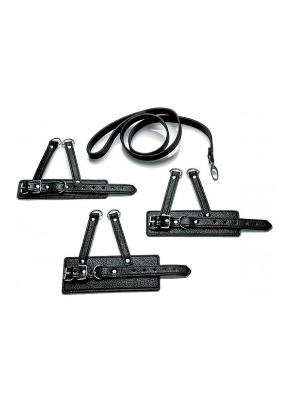 Set entrenamiento ball harness XR Brands tres tamaños